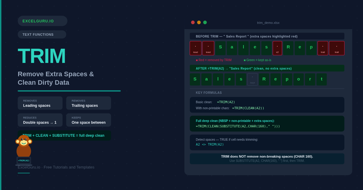 TRIM Formula in Excel Blogpost Feature Image
