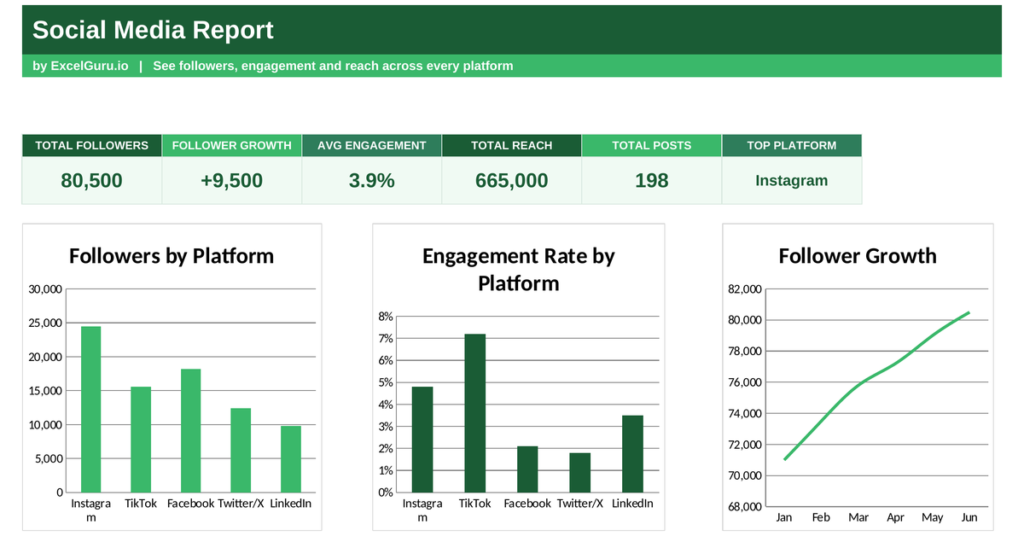 Social Media Dashboard Basic Excel Template for tracking followers engagement reach impressions posts and social media performance